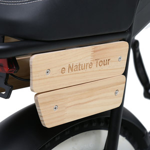 Bicicleta Eléctrica TXED de Venta Caliente con Motor de Cubo Trasero de 48V/250W, 3 Velocidades, Estilo Motocicleta, Cubierta de Vinilo, Asiento, Horquilla de Suspensión, Neumático Grueso - Product Image 5