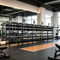 Rack d'entraînement tout-en-un professionnel avec machine de poussée et de traction pour traîneau, ensemble de sacs de sable et kettlebells, rangement sécurisé, personnalisable