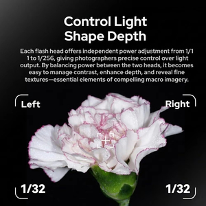 Godox MF-T76 C/N/S TTL Macro Twin Flash Double Flash HSS 1.2s Recyclage rapide Système Godox X pour <span class=keywords><strong>Canon</strong></span>/Nikon/Sony - Product Image 6