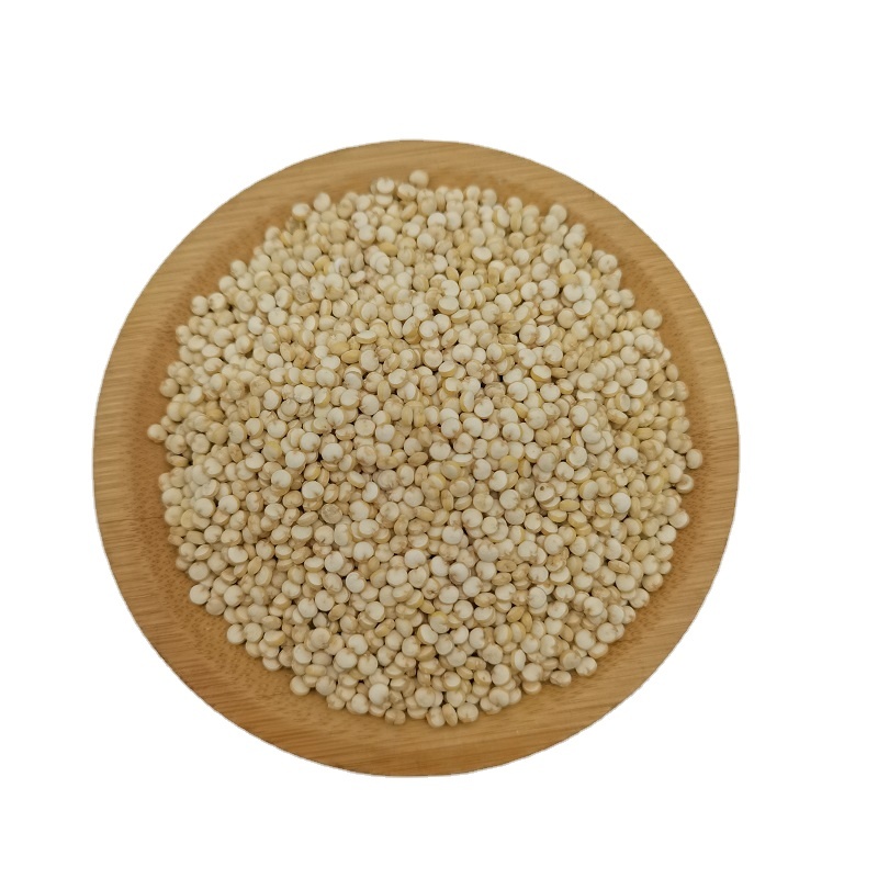 Premium Quality Organic Quinoa Tricolor Healthy