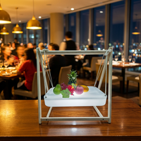 Lampe de table carrée en plastique LED, étanche, résistante aux chutes, à changement de couleur, avec plateau lumineux pour fruits, pour bureau, restaurant, bar