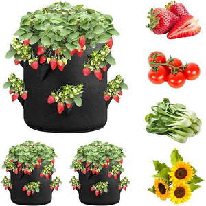 Sacs de plantation de fraises en feutre poreux personnalisés avec poignées - Product Image 1