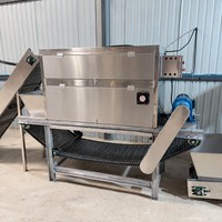 Commerciële automatische ui- en knoflookschilmachine 200-1000 kg/uur, eenvoudige bediening, lange levensduur, geschikt voor fruit en groenten