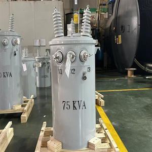 Transformateur toroïdal immergé dans l'huile, norme IEC60076, 37,5 kVA, 12,47 kV/13,2 kV/13,8 kV, 0,4 kV, monophasé, monté sur poteau, refroidissement D11, puissance évolutive - Product Image 6