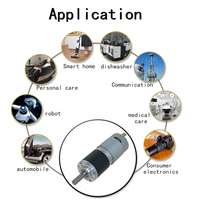 28mm Metal Planetary Gear Motor 385 High Power 30W 10kgf.cm 50dB 12V Brushed DC 4-Stage 625:1 for Massage Gun Robot OEM