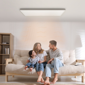 Chauffage infrarouge électrique d'usine 660W/860W, panneaux de chauffage radiant à montage au plafond, protection contre la surchauffe, étanche, contrôle intelligent, rapide - Product Image 3