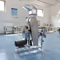 Industriële Ui Wortel Gember Juicer Extractor Crusher Commerciële Apple Ananas Citroensap Maken Machine