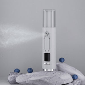Neuester Nano-Nebel-Sprüher für Hautfeuchtigkeit mit Wasser- und Öl-Gehalt-Test, Ionischer Gesichtsdampfer, Gesichts-Nano-Feuchtigkeitsspray - Product Image 1