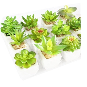 Mini nhựa mọng nước trong nồi nhựa mini mọng nước nhân tạo thực vật - Product Image 3