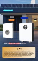 Système solaire MPPT haute puissance pour appareils électroménagers (micro-ondes, cuiseur à riz, sèche-cheveux, chauffe-eau, hotte) - Monocristallin