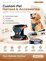 Série Pet Glow Harnais et laisse pour animaux de compagnie à LED |   Collier |   Noeud papillon |   Porte-sac à crottes pour chien, kit de promenade pour chien, accessoires pour animaux de compagnie