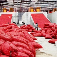 Hoge Efficiëntie Rode Chili Peper Droogapparatuur Continue Riem Chili Mesh Band Droger Machine Voor Fruit En Groenten