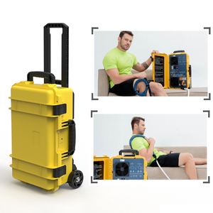 Appareil de thérapie PEMF multifonctionnel haut de gamme pour la guérison musculaire et la réparation osseuse chez l'homme et chez le cheval - Product Image 5