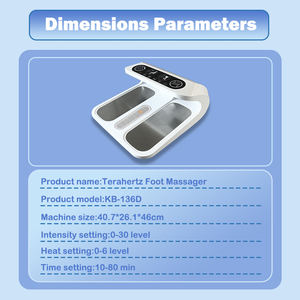 Perangkat kaki terapi Terahertz 3 dalam 1 kustom dengan fungsi potensial tinggi dan terapi lampu merah pemijat Terahertz elektrik - Product Image 6