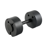Nouveau Design Insert Type Réglable En Acier Haltère Détachable Professionnel Gym Fitness Insert Carré Decagon Haltère Poids Libre