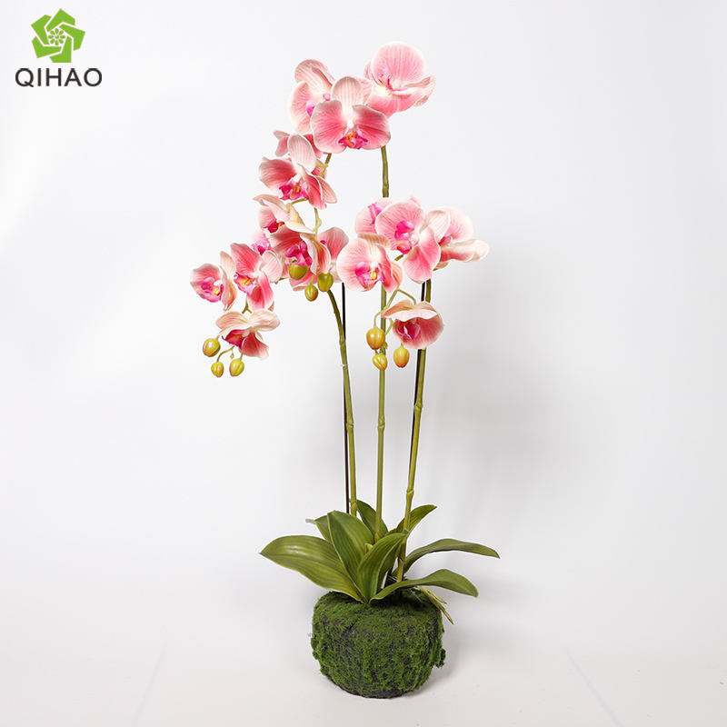 สีชมพูเข้ม