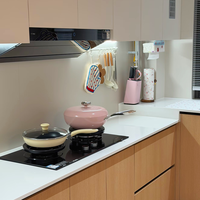 Solutions modernes sur mesure pour toute la maison, fabriquées professionnellement en usine, couvrant armoires, buffets, meubles TV et penderies