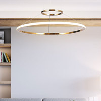 Plafonnier Led suspendu composé d'anneaux linéaires, design moderne, intensité d'éclairage réglable, luminaire décoratif de plafond, diamètre réglable, idéal pour un hôtel