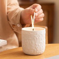 Witoyou Premium 10oz Witte Keramische Pot met Kleurrijke Sojawas Geurkaarsen Luxe en Gepersonaliseerde Etiketten met Bolvormig Logo