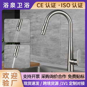 304 Stainless Steel Pull Out Kitchen Faucet Single Handle Deck <b>Mounted</b> Contemporary Ceramic Valve Core YQ3024F - Product Image 5