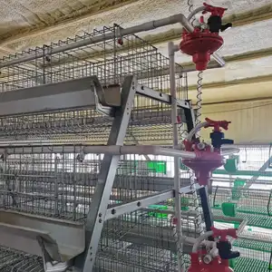Автоматическое оборудование для птицефабрики
