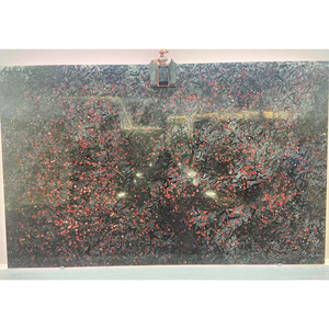 Rare Wild melograno <span class=keywords><strong>pietra</strong></span> di marmo rosso lastra di onice rosso unica decorazione della parete di fondo retroilluminata di lusso 18mm brasile <span class=keywords><strong>pietra</strong></span> importata - Product Image 1