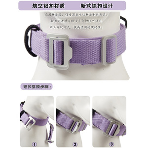 <span class=keywords><strong>2026</strong></span> NEU Nylon Integriertes Automatisches Zughemmendes Halsband für Hunde Einfarbiges Hundeleinen-Gehseil - Product Image 2