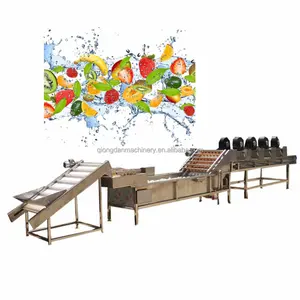 Fruit and Vegetable Lychee Mango Washing Drying Line Fruit Vegetables Cutting Equipment Freeze Dried Fruit Slices Machine