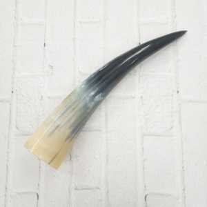 Cuerno de búfalo y Punta de cuerno de búfalo personalizados de buena calidad a la venta a granel/Punta de cuerno de búfalo y buey de calidad natural a la venta a precio - Product Image 2