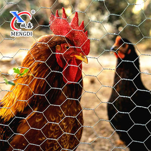 Malla De Alambre galvanizada para aves De Corral, 50MM, <span class=keywords><strong>25MM</strong></span>, 30MM, 19MM, Rollo De malla De alambre De hierro para pollo <span class=keywords><strong>Hexagonal</strong></span> galvanizado - Product Image 1