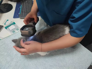 चिकित्सा डर्मेटोस्कोप 365एनएम और 405nm uv पालतू जानवरों के लिए पशु चिकित्सा - Product Image 5