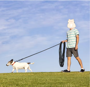 Guinzaglio per cani in Nylon con stampa di moda riflettente Kingtale-2025 guinzagli per animali domestici - Product Image 3