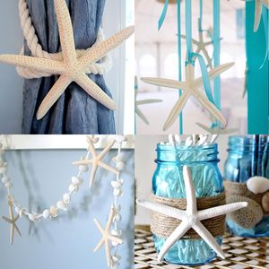 20 Piezas de Estrellas de Mar Naturales de 2-4 Pulgadas para Decoración de Bodas con Temática de Playa, Manualidades, Adornos para Árboles de Navidad - Product Image 4