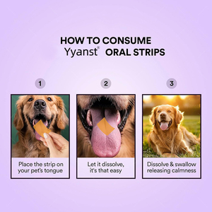OEM/ODM Bandes orales apaisantes pour animaux de compagnie, à dissolution rapide, sans sucre, à base d'ingrédients naturels, pour favoriser le sommeil et soulager l'anxiété et le stress. - Product Image 2