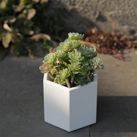 Pot de fleurs minimaliste blanc nordique personnalisable avec logo et couleur, en béton écologique de haute qualité, pot décoratif en gros