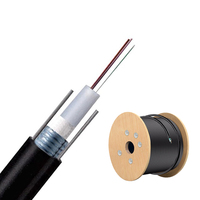 Suministro de fábrica Cable para exteriores GYXTW Diámetro 7,0mm 2 4 6 8 12 Core G652D Cable de fibra óptica de tubo suelto de fibra