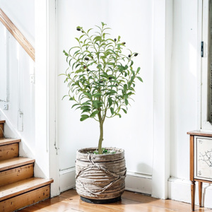 Gần như tự nhiên 3ft nhân tạo nhỏ Cây Ô Liu nồi bảng nhà máy cây <span class=keywords><strong>mini</strong></span> cho trong nhà nhà văn phòng phòng phòng khách trang trí hiện đại - Product Image 3