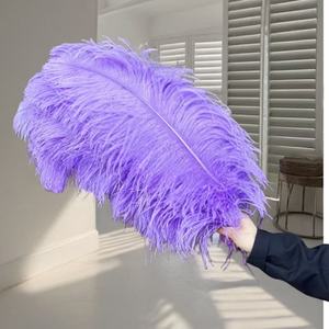 Vente en gros 24-26 pouces Grandes plumes d'autruche blanches Festival de carnaval 60-65cm Décoration de mariage 15-80cm Teint Fluffy Parties d'autruche - Product Image 4