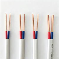 Abriebfestes PVC-ummanteltes BVVB 2*0,75/1,0/1,5 Kupferkern-Parallelkabel für Gebäude- und Gartenbeleuchtungsinstallationen
