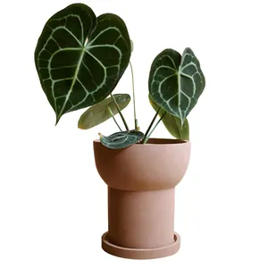 Pot de fleur en ciment de couleur café, de forme ronde, avec plateau, pour décor intérieur et extérieur, utilisé avec fleur/plante verte, moderne, T/T, vente en gros,