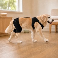 Attelle de Soutien Lombaire Ajustable pour Chien, pour Dysplasie de la Hanche, Soutien à la Mobilité Canine, PETSGUARD PG0010 Anti-Rayures pour la Rééducation