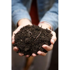 Trinova Exim, Fertilizante Orgánico Natural Puro al 99%, Agricultura Sostenible, Mejora de la Salud del Suelo, Alto Rendimiento de Cultivos 24 - Product Image 3