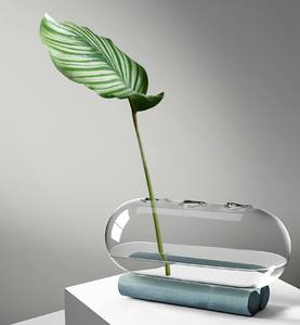 Vase en verre rond transparent moderne soufflé sur mesure en borosilicate, <span class=keywords><strong>terrarium</strong></span> en verre de forme ovale pour plantes - Product Image 1