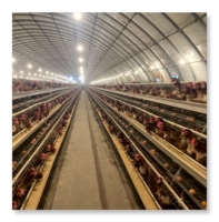 Type automatique galvanisé Offre Spéciale de 3 couches de cages de poulet pour des poules