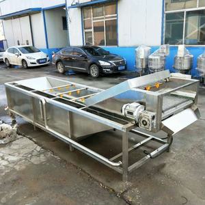 Lavatrice per frutta e frutta lavatrice a tamburo per frutta 500kg - Product Image 4