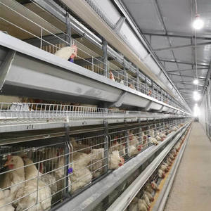 A HType 공장 가격 자동 배터리 닭 층 감금소 치킨 기계 - Product Image 2