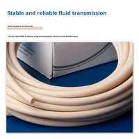 Tuyau de pompe péristaltique Saint-Gobain Tygon A-60-F, tube en silicone de qualité alimentaire, résistant aux hautes températures, aux acides et aux alcalis, résistant à la corrosion