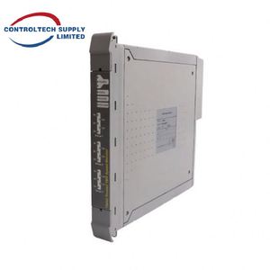 ชุดประกอบการเชื่อมต่อเอาต์พุตดิจิตอล ICS TRIPLEX T8442C - 8 ช่องสัญญาณคู่, 24V ความน่าเชื่อถือสูงสำหรับการควบคุมในอุตสาหกรรม - Product Image 4