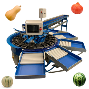 Machine de calibrage de poids CALIBREX fabriquée en France pour les fruits et légumes de grande taille, comme les melons, les citrouilles de Hokkaido et les mini-melons d'eau. - Product Image 4