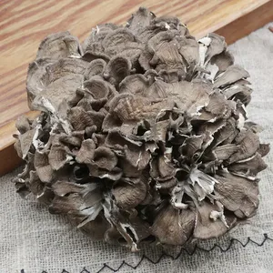 Productos Naturales a Base de Hongos, Hongos <span class=keywords><strong>Matsutake</strong></span> Secos, Hongos Ashitake Orgánicos - Product Image 3